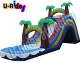 Arched Inflatable Water Slide with Pool