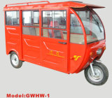 Gwhw-1 Electric Tricycle
