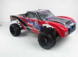 Large Size Electric Truck, 1/5 Scale 4WD RC Electric Car, Big Size RC Car