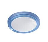 LED Ceiling Light