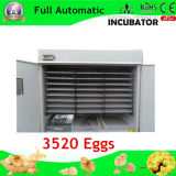 CE Approved Fully Automatic Commercial Egg Incubator on Big Sale (WQ-3520)