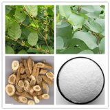 Pure Giant Knotweed Extract, Resveratrol Powder 20% 50% 98%
