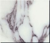 Arabescato Corchia Marble