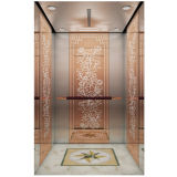 Villa Elevator with Decoration From Lingz Brand