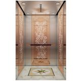 Villa Elevator with Decoration From Lingz Brand