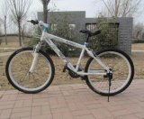27 Speed Mountain Bicycle with CE (AFT-MB-095)