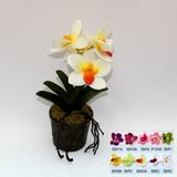 Artificial Potted Flower, Imitative Silk Orchid