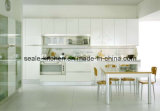 Modern Kitchen Cabinet SL-10-24 (1)