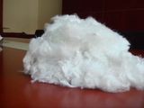 Super White Polyester Staple Fiber