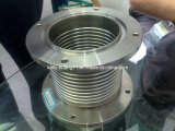 D300 Stainless Steel Vacuum Bellows