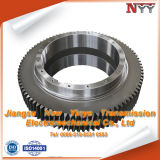 Carburizing Hardened Helical Gear