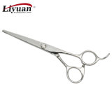 Convex Edge Professional Hair Scissor (LY-BDG60)