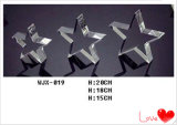 Highly Polished Crystal Star Crafts (WJX019)