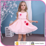 Cute Pink Embroidered Cotton Girl Clothes, Fashionable Children Apparel (6305V)