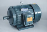 Electric Motor Kw