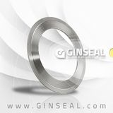 Ginseal Kammprofile Gasket (JSG-KM)