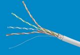 Cat5e FTP Network Cable