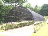 Net--Shade Net / Shade Cloth (MT03001)