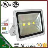 High Power IP65 LED Outdoor Flood Light 120W with Meanwell Driver