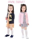 2015 Autumn Cotton Doll Kids Dress Suit with Little Bear Manufacturer