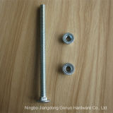 Zinc Plated Industrial Fastener Round Head Square Neck Carriage Bolt