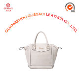 Popular Casual Grade a Mesh Lines Ladies Handbag (GUS14D-062-2)