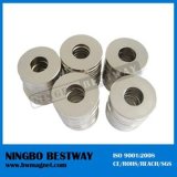 Ring Magnet with Vacuum Packing