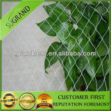 HDPE Greenhouse Use Anti Bird Net