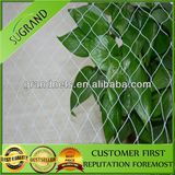 HDPE Greenhouse Use Anti Bird Net