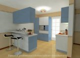 Customized Lacquer Kitchen Cupboard (S109)