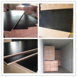 Commercial Plywood Building Plywood (ZL-CP)