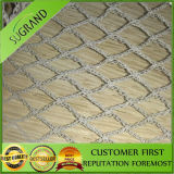 HDPE Material Anti Pigeon Protection Netting