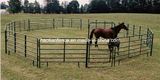 6 Rails Livestock Panel/Cattle Panel/Corral Panel