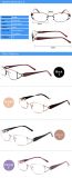 Jc6608 Newest Female Metal Eyeglasses Frame, Optical Eyewear