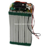 42 V 12ah LiFePO4 Battery Pack (FlyPower model FLFP-42120E1)
