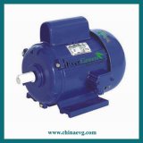 Single Phase Jy Series Asynchronous Electric Motor