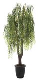 0006 Willow Tree ----Hot Selling---- SGS Standard