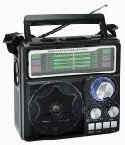 FM/Am/Sw 1-8 10 Bands Portable Radio with USB/SD Card Player