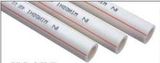 PPR Pipe 2.5mpa for Hot Water