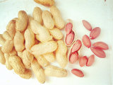 Best-Selling Peanut Kernals for Sale