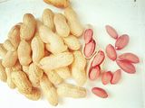 Best-Selling Peanut Kernals for Sale