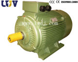 Electric Motor Water Pump Motor