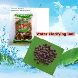Treatment for Water--Water Clarifying Ball
