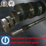 OEM Forging Host Gears