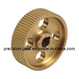 Brass Spur Gear/Gear