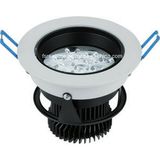 12W LED Indoor Ceiling Light