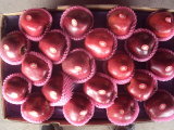 Exporting Standard Packing Fresh Red Apple, Huaniu Apple