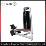Fitness Gym Equipment / Low Row