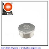 Stainless Steel Hexagon Plug