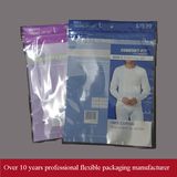 Zipper Bag/Plastic Bag with Zipper (ZP1111)